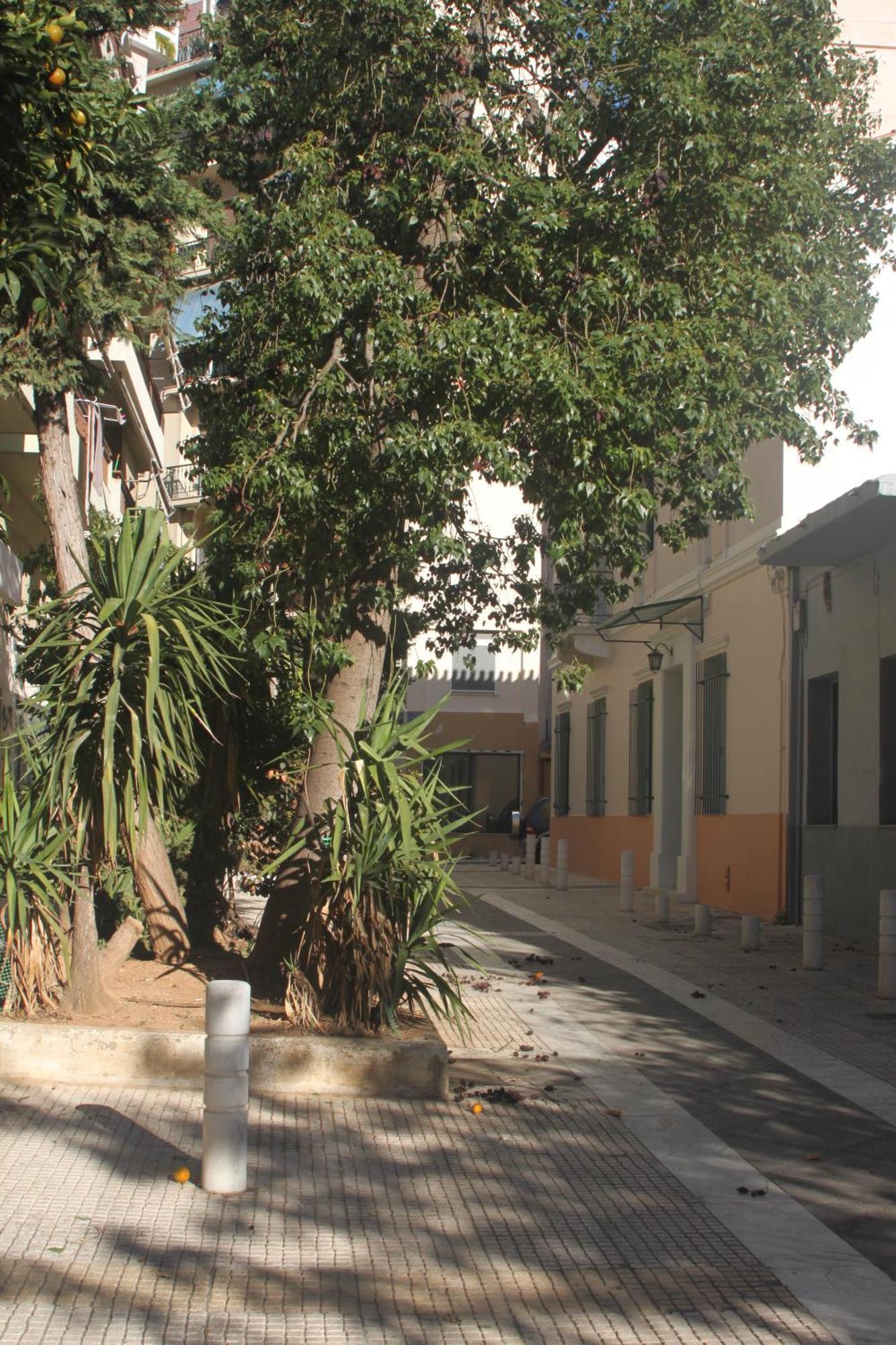 "Under The Olive Tree"- Beautiful Apartment In The Heart Of Athen Exterior foto