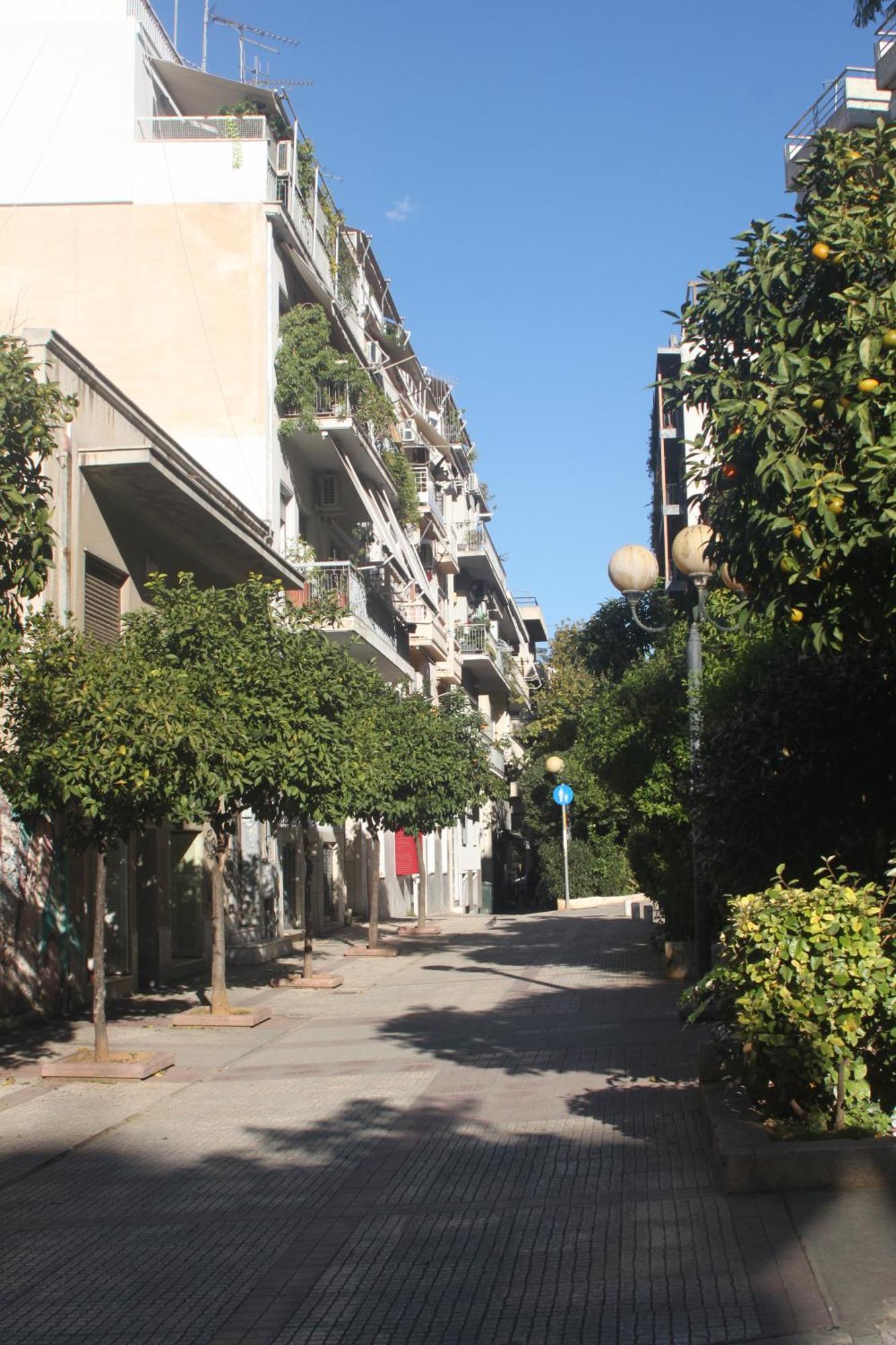 "Under The Olive Tree"- Beautiful Apartment In The Heart Of Athen Exterior foto