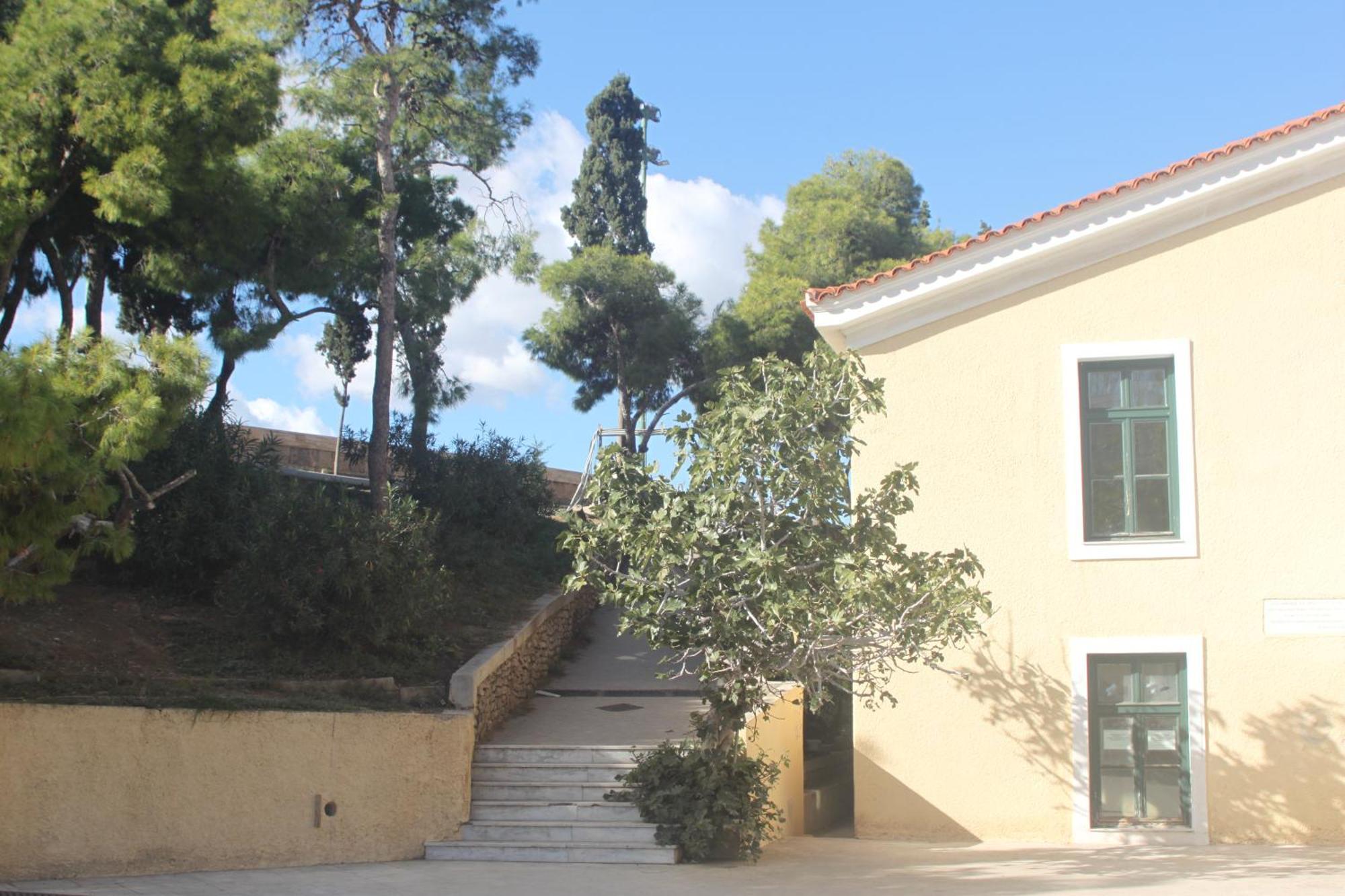 "Under The Olive Tree"- Beautiful Apartment In The Heart Of Athen Exterior foto