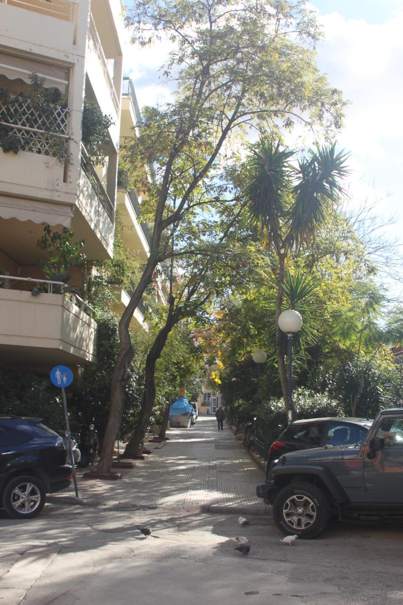 "Under The Olive Tree"- Beautiful Apartment In The Heart Of Athen Exterior foto